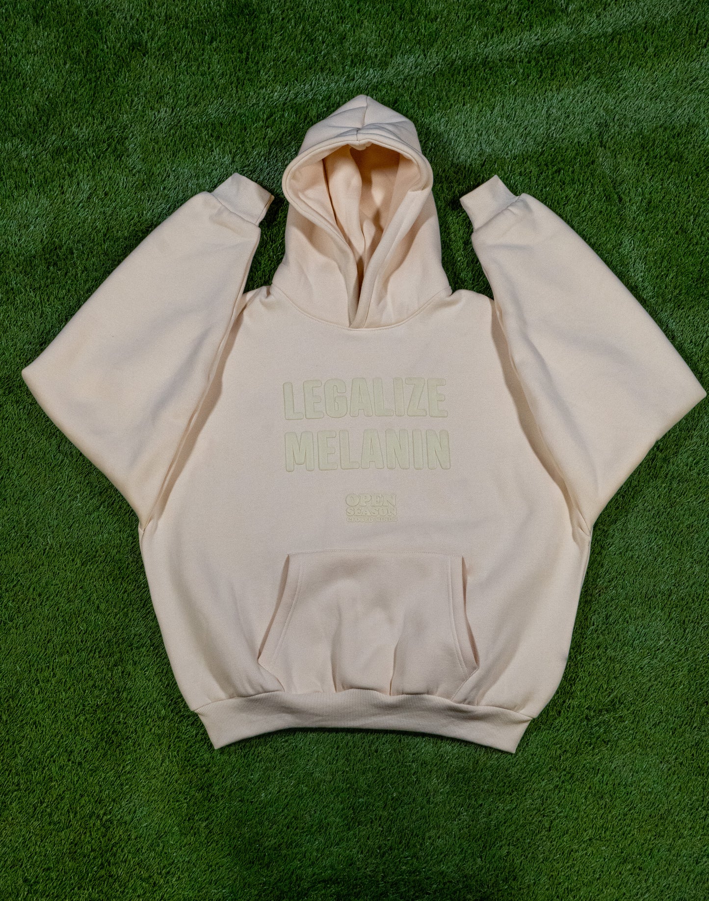 Legalize Melanin Puff Print Hoodie