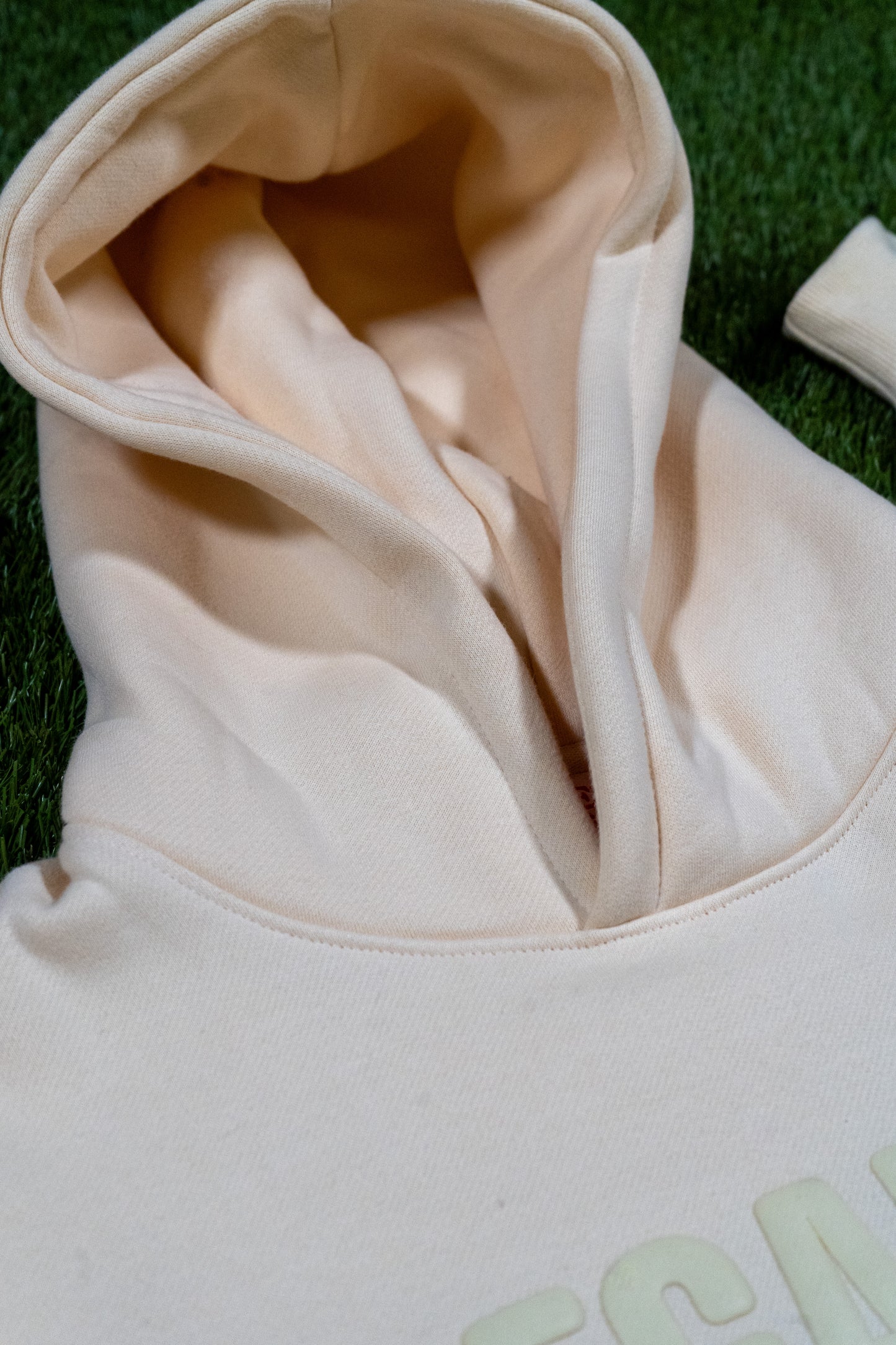 Legalize Melanin Puff Print Hoodie